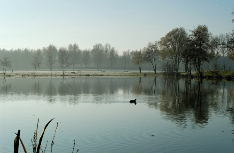 lac