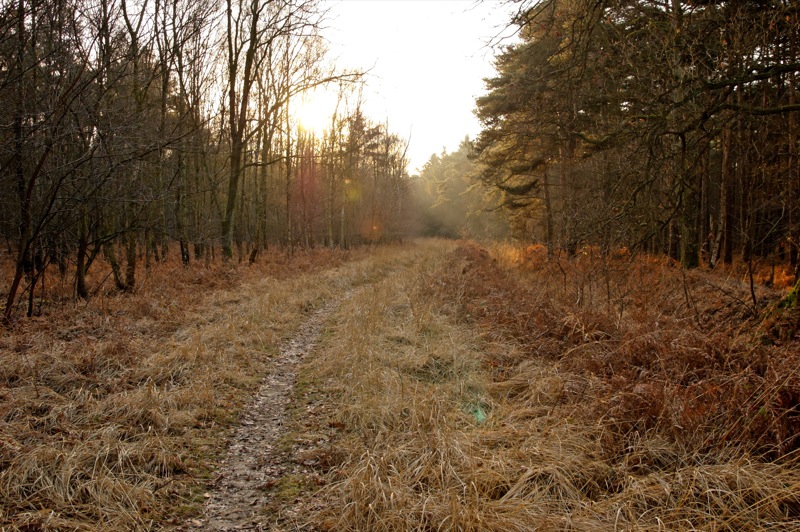 chemin