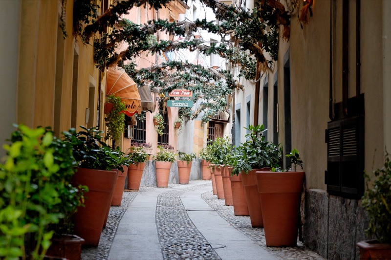 ruelle