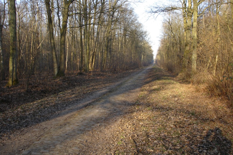 foret
