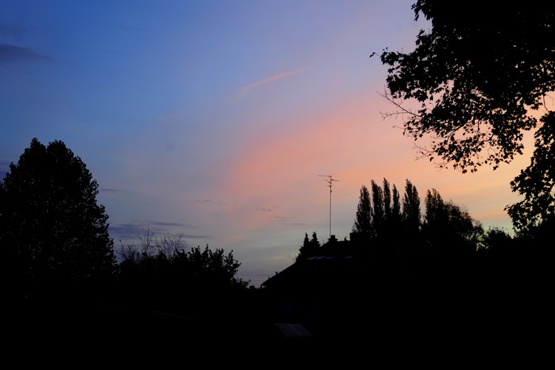 Matin