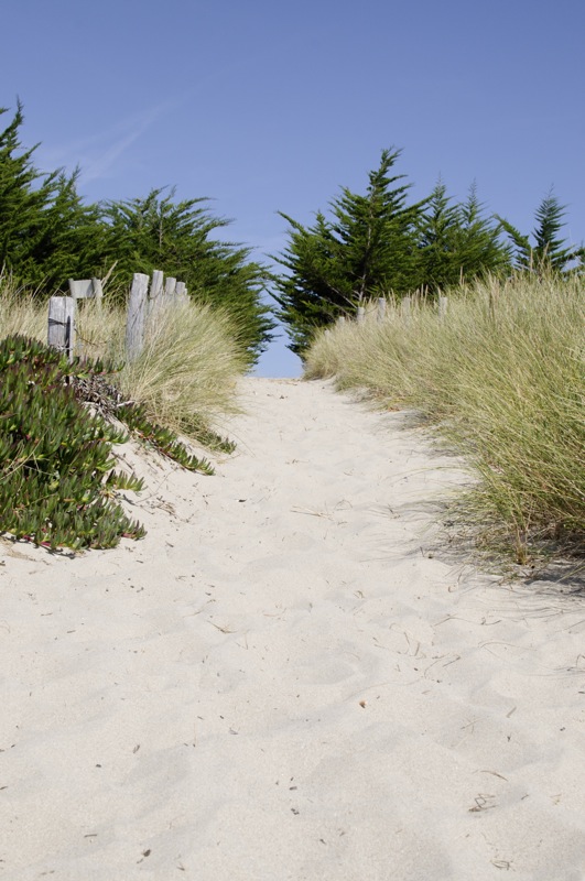 noirmoutier