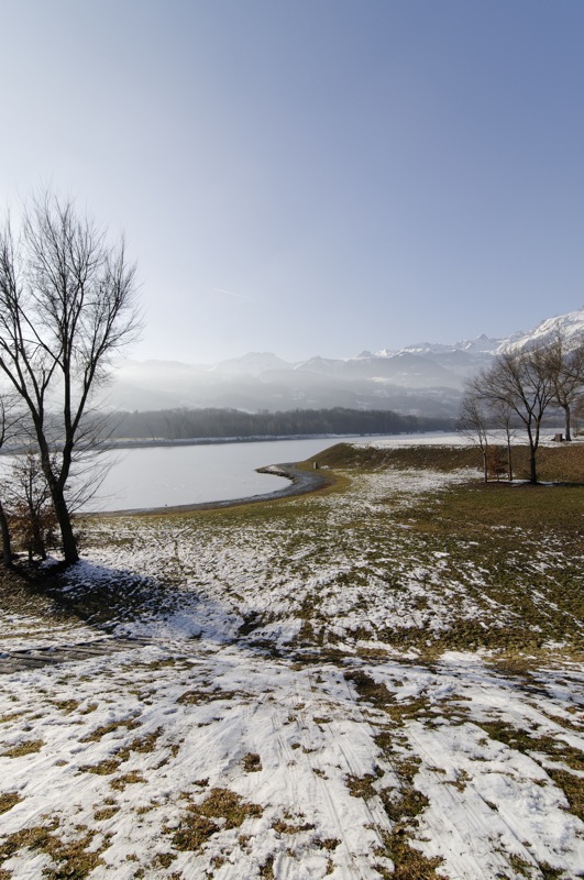 montane