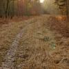 chemin