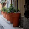ruelle