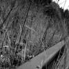 chemin de fer