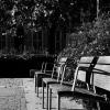 banc