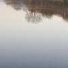 etang