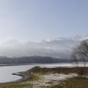 montane