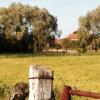 balade dans les champs
